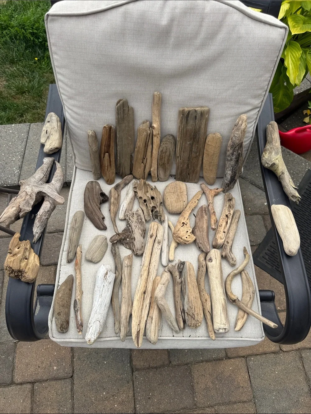 43 pc for (5 lbs shipped) Box of Natural Driftwood Pieces Decor Crafts Projects